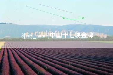 青海中国十七块金牌