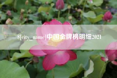 青海中国金牌榜明细2021