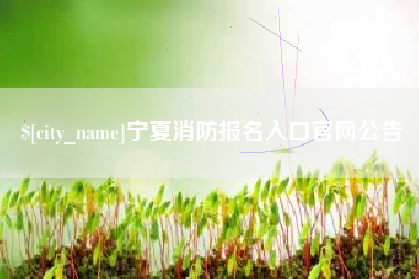 青海宁夏消防报名入口官网公告