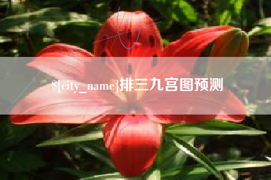 青海排三九宫图预测