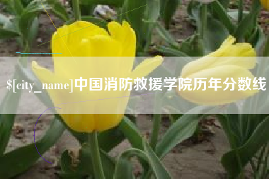 青海中国消防救援学院历年分数线