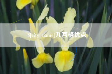 青海九宫格优点