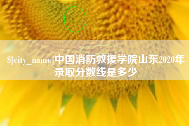 青海中国消防救援学院山东2020年录取分数线是多少