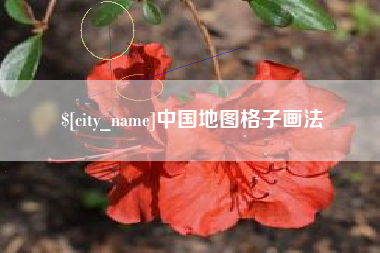 青海中国地图格子画法