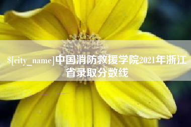 青海中国消防救援学院2021年浙江省录取分数线