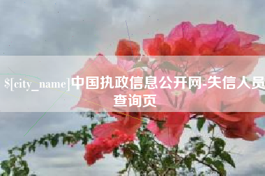 青海中国执政信息公开网-失信人员查询页