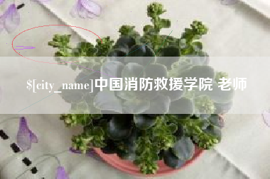 青海中国消防救援学院 老师
