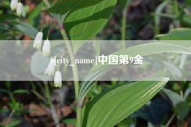 青海中国第9金
