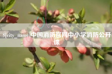 青海中国消防官网中小学消防公开课