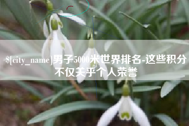 青海男子5000米世界排名-这些积分不仅关乎个人荣誉