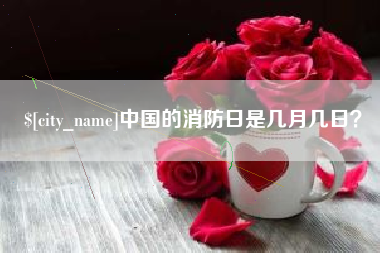 青海中国的消防日是几月几日？