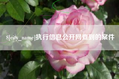 青海执行信息公开网查到的案件