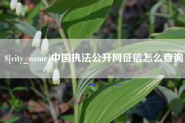 青海中国执法公开网征信怎么查询