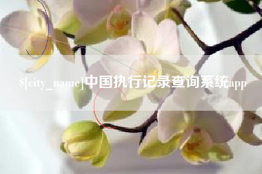 青海中国执行记录查询系统app