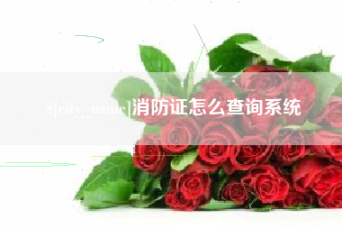 青海消防证怎么查询系统