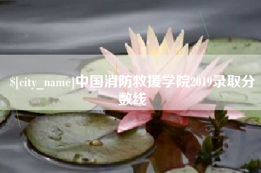 青海中国消防救援学院2019录取分数线