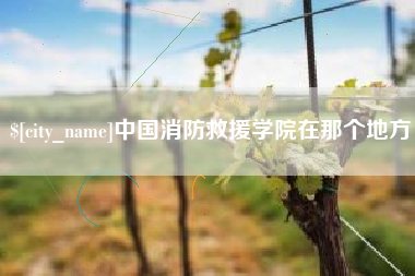 青海中国消防救援学院在那个地方