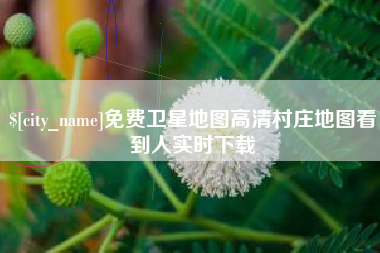 青海免费卫星地图高清村庄地图看到人实时下载