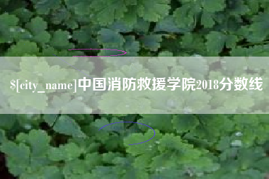 青海中国消防救援学院2018分数线