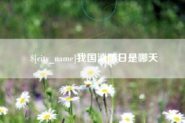 青海我国消防日是哪天
