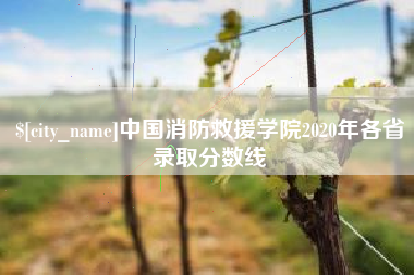 青海中国消防救援学院2020年各省录取分数线