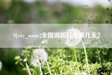 青海全国消防日是第几天？