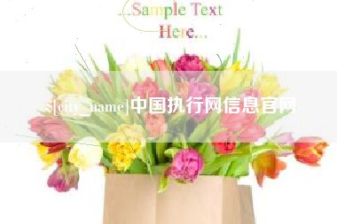 青海中国执行网信息官网