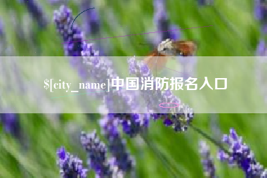 青海中国消防报名入口