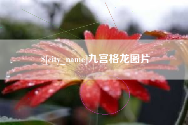 青海九宫格龙图片