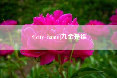 青海九金是谁