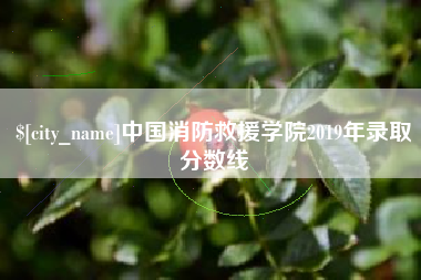 青海中国消防救援学院2019年录取分数线