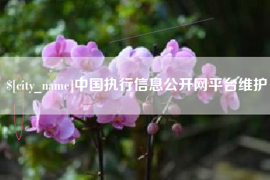 青海中国执行信息公开网平台维护
