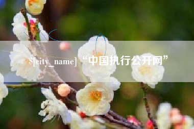青海“中国执行公开网”