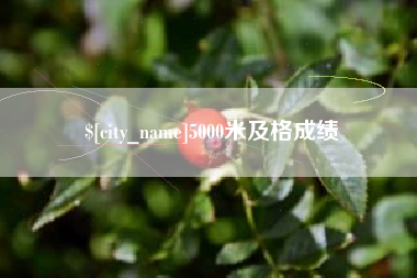 青海5000米及格成绩