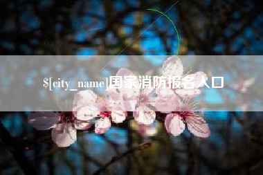 青海国家消防报名入口