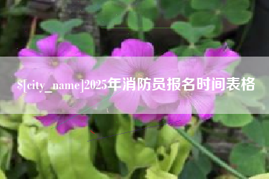 青海2025年消防员报名时间表格