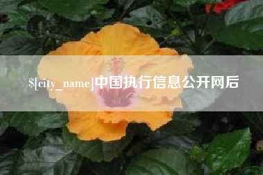 青海中国执行信息公开网后