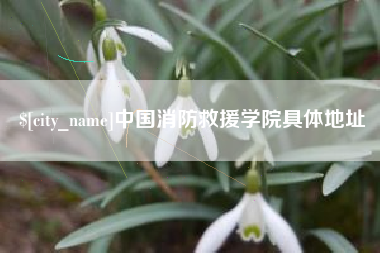 青海中国消防救援学院具体地址