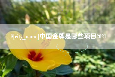 青海中国金牌是哪些项目2021