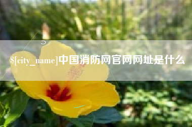 青海中国消防网官网网址是什么