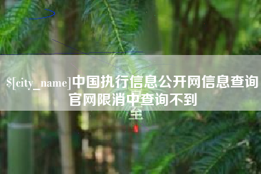 青海中国执行信息公开网信息查询官网限消中查询不到