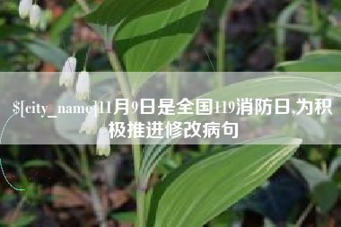 青海11月9日是全国119消防日,为积极推进修改病句