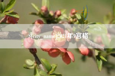 青海2021年9宫格
