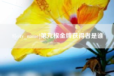 青海第九枚金牌获得者是谁
