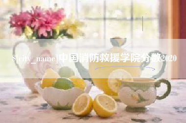 青海中国消防救援学院分数2020