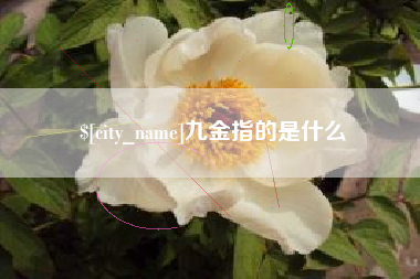 青海九金指的是什么