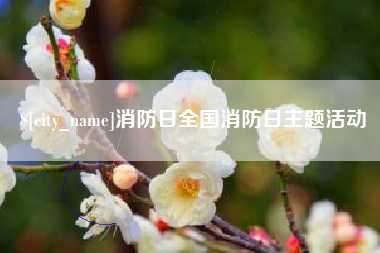青海消防日全国消防日主题活动