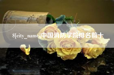 青海中国消防学院排名前十