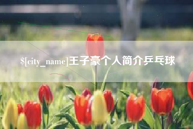 青海王子豪个人简介乒乓球