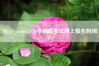 青海2020年消防考试网上报名时间